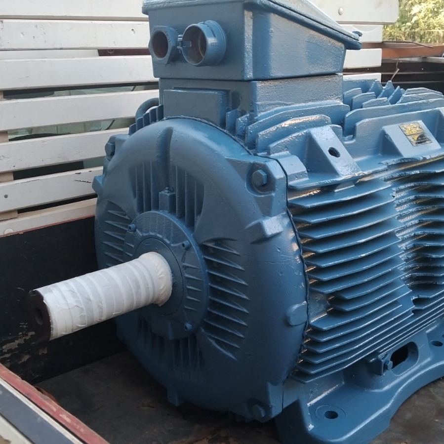 Motor elétrico finalizado depois da recuperação completa
